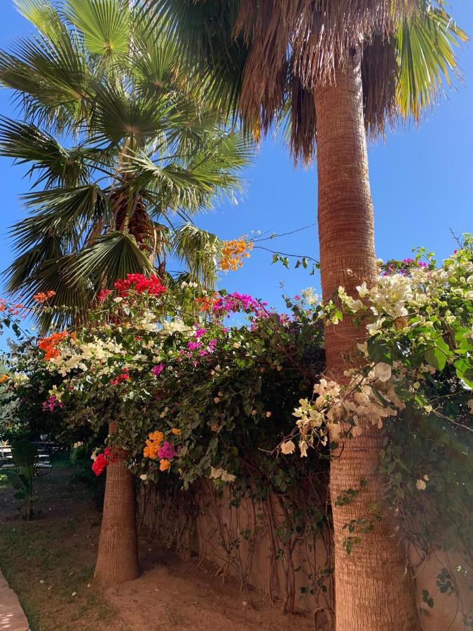 Les Terrasses Du Lac Marrakech Lalla Takerkoust Eksteriør bilde